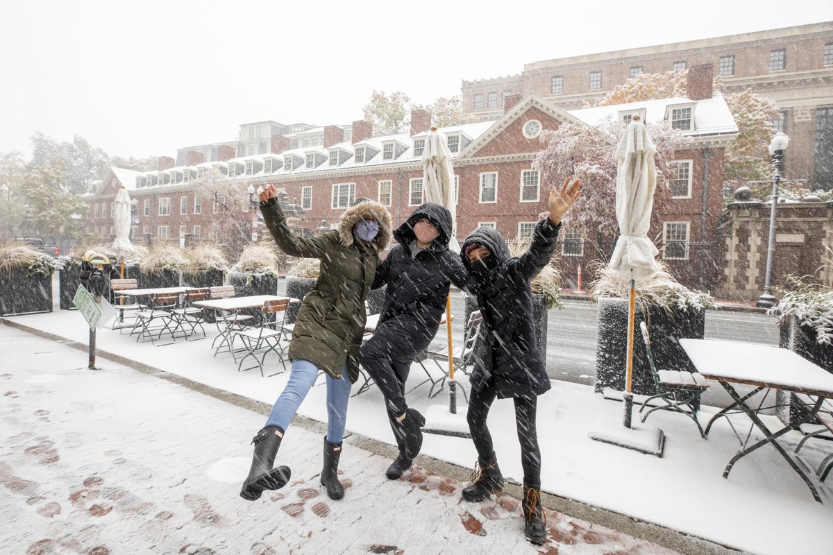 Harvard University tweet media