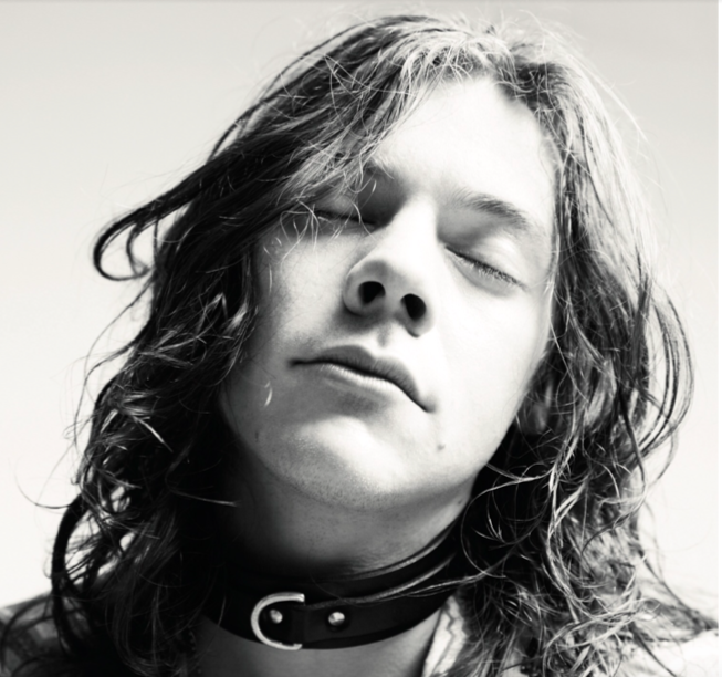 there are also many photographs of harry that are reminiscent of Mapplethorpe's pictures, particularly the beauty papers shoot and the another man shoot.