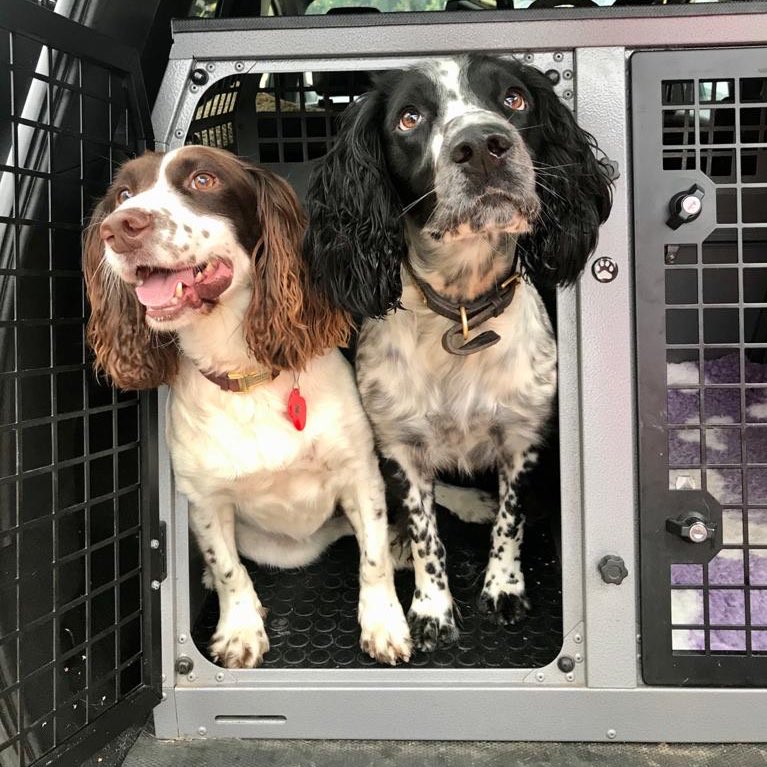 Stansted Airport Dog Section tweet media