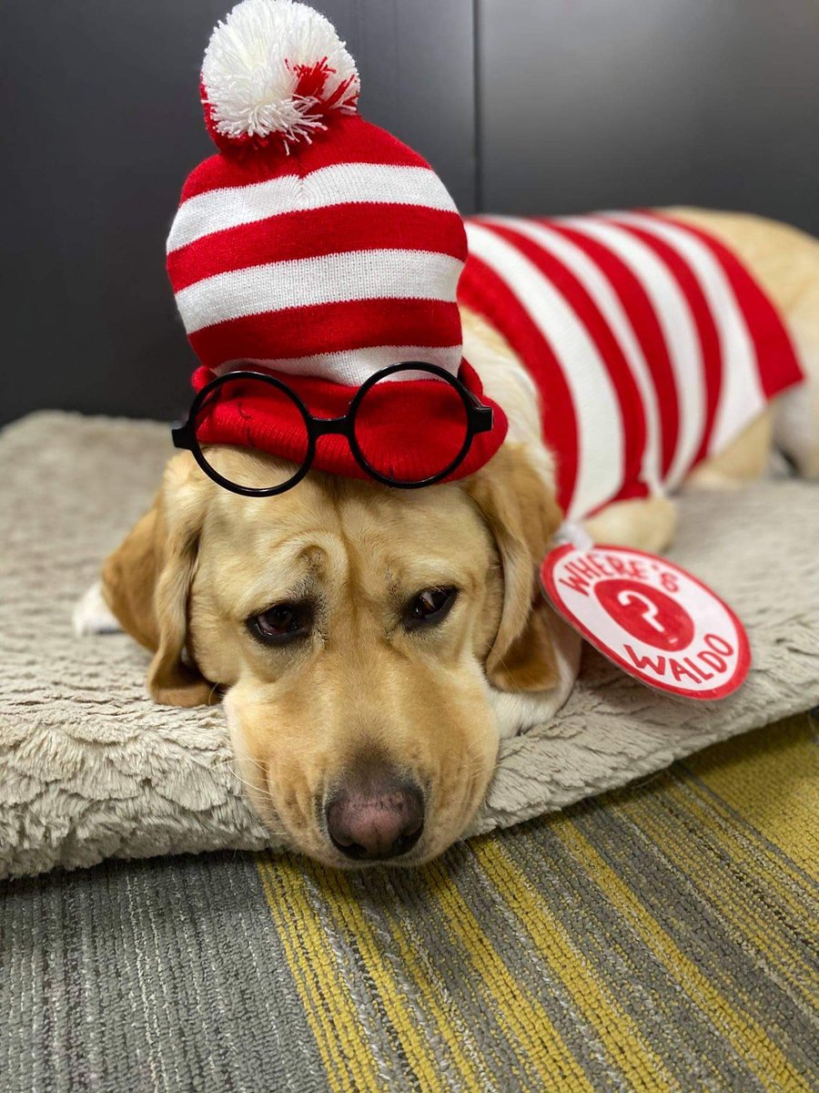 Em Webber tweet media