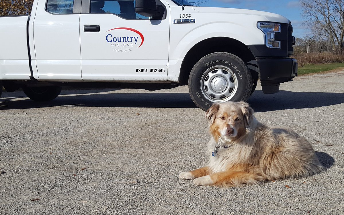 Sadie is a hard working Aussie. 
#farmdogfriday #agronomistlife #harvest20 #FridayThoughts #aussie #wigglebutt