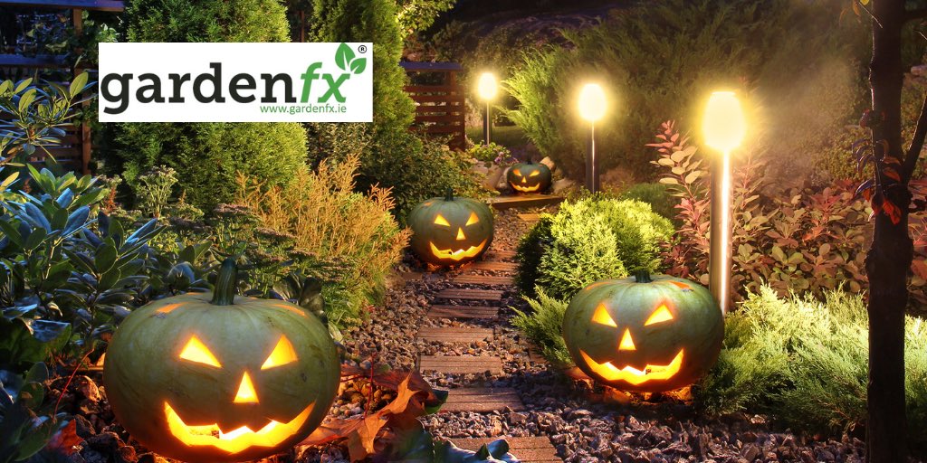 Gardenfx1's tweet photo. Weekend is here. Stay safe 🎃 #HalloweenAtHome https://t.co/CddIRd2RwG