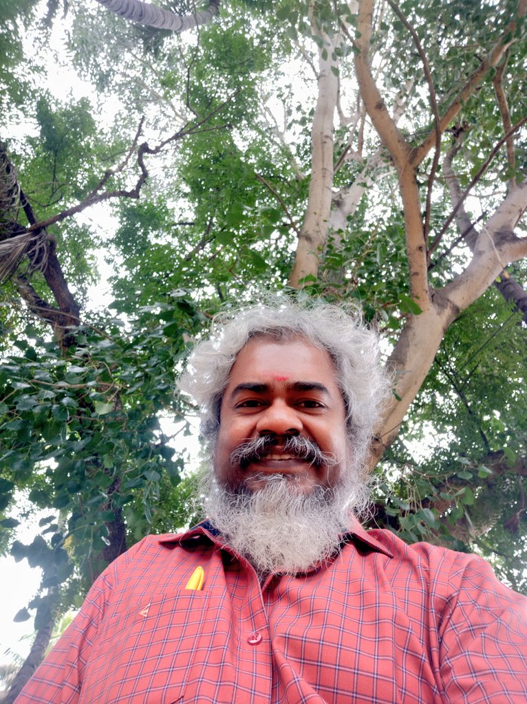 kayaldevaraj's tweet photo. சாலையோர மரங்களை சாமியாக்கியது போல், வனங்களில் உள்ள மரங்களையும்
சாமியாக்கி விடலாம்.
மரம் வெட்டுவதாவது குறையும்.
#SuperStatus #Trees https://t.co/PHv0VB9NMd