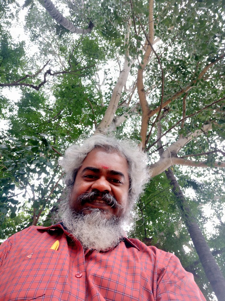 kayaldevaraj's tweet photo. சாலையோர மரங்களை சாமியாக்கியது போல், வனங்களில் உள்ள மரங்களையும்
சாமியாக்கி விடலாம்.
மரம் வெட்டுவதாவது குறையும்.
#SuperStatus #Trees https://t.co/PHv0VB9NMd