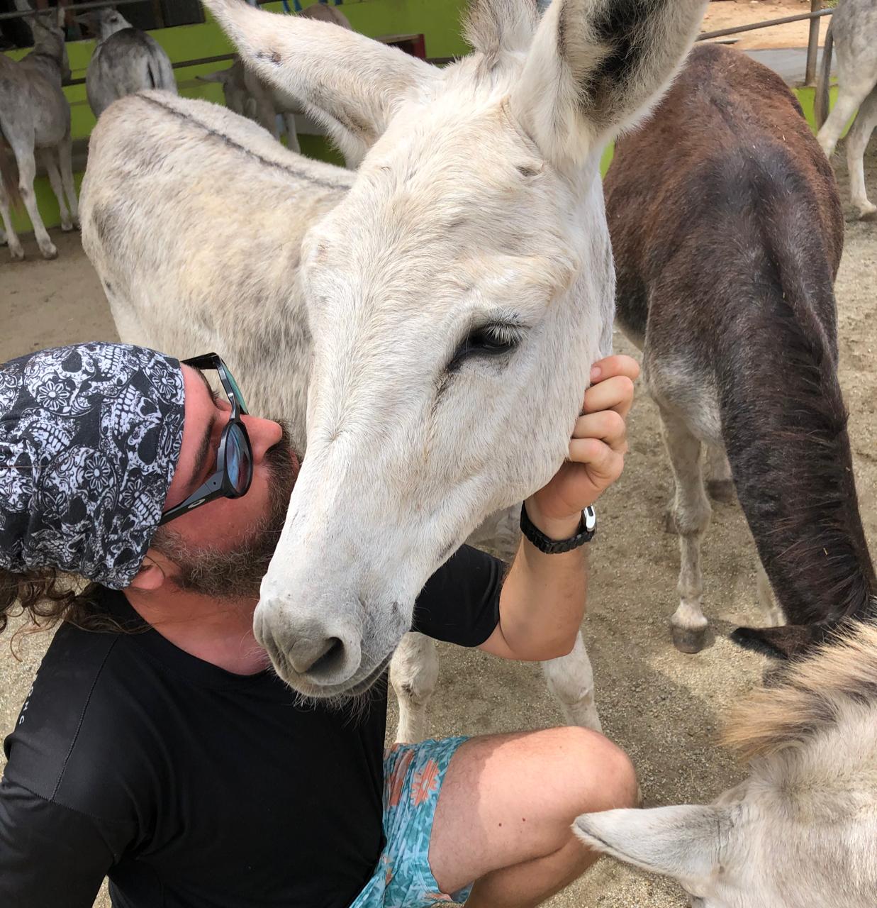 Things To Do In Aruba