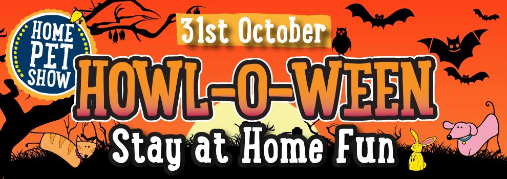 We are Live Curving Pumpkins Tomorrow at 15:20 on the <a href="/RSPCA_official/">RSPCA (England & Wales)</a> Facebook Live! For the Howl-o-ween event! Make sure you tune in #Ad #Halloween #howloween #shytoys
