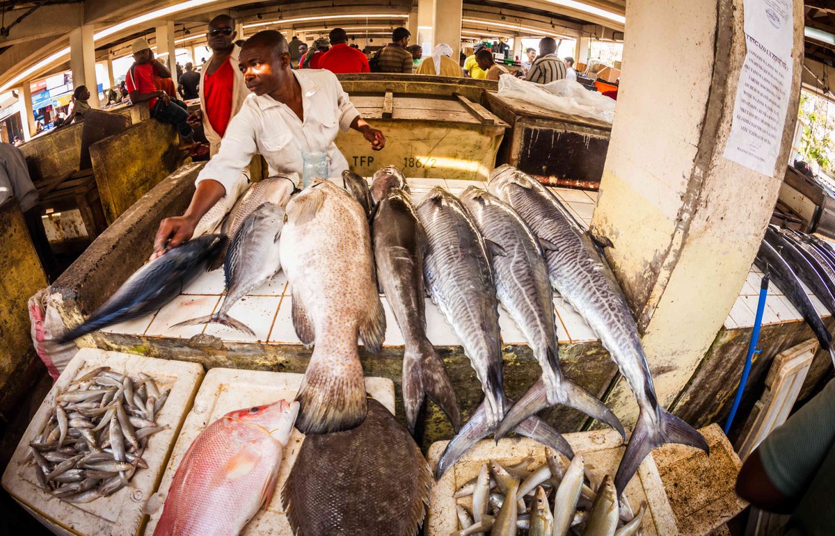 NEW SCIENCE | “Opportunities and Challenges in Achieving Co-Management in Marine Protected Areas in East Africa: A Comparative Case Study”. Out now in the Journal of the Indian Ocean, fresh off the press from WCS scientist  @JeniOLeary    http://ow.ly/YvQu50BZcpU 