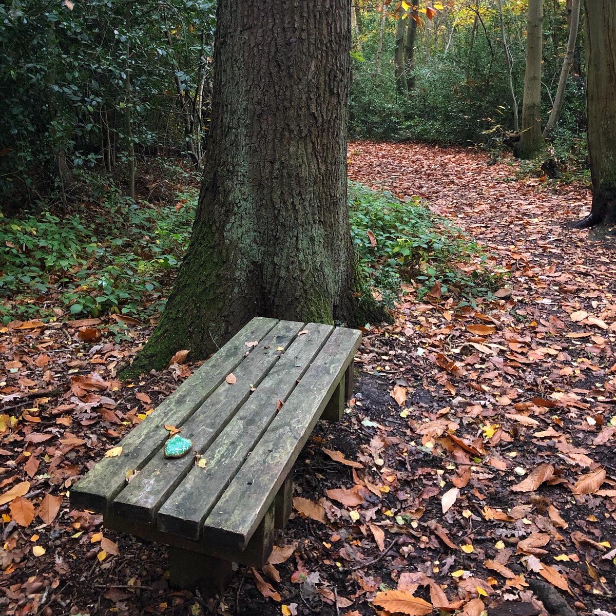 CompassionateRo's tweet image. What if you told people how you feel?

#pebbleswithpurpose #compassionaterocks #compassionrocks #paintedrocks #365daysofcompassion #rockpainting #rockpaintings #kindnessrocks #kindnessmatters #paintedstones #emotions #ItsOkNotToBeOk #relationships #youarenotalone