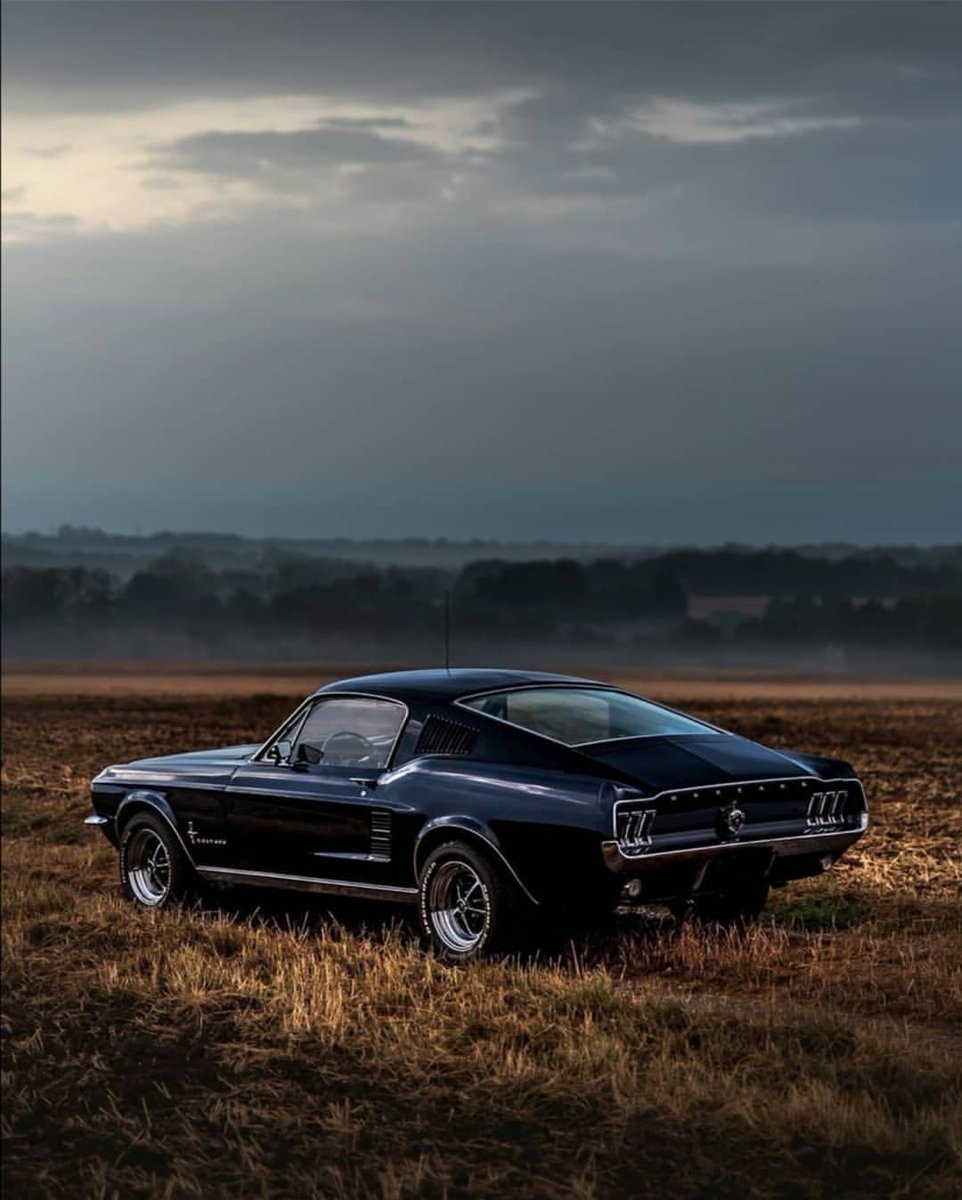 G_Hysteria's tweet photo. #MustangFriday https://t.co/Kr4U6VoX8O