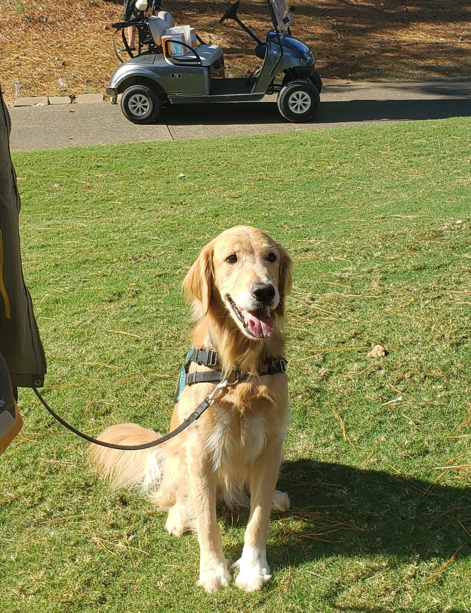 StMarloCountryClub tweet media