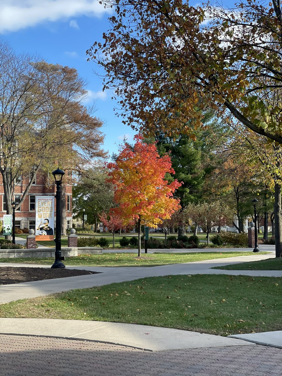 H_Cramer17's tweet photo. @Scaevola67 Definitely one of the prettiest trees on campus ☺️ https://t.co/I3XsgV0r4c