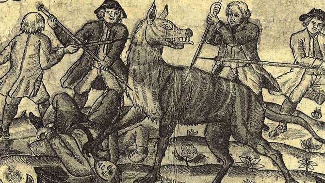 12. The climax came on November 3, when “he received such a furious Blow… that it was thought they were entirely delivered from this fatal Animal as it soon Time after retired to its Hole, to the great Satisfaction of the Public.”It seemed as if the terror was finally over.