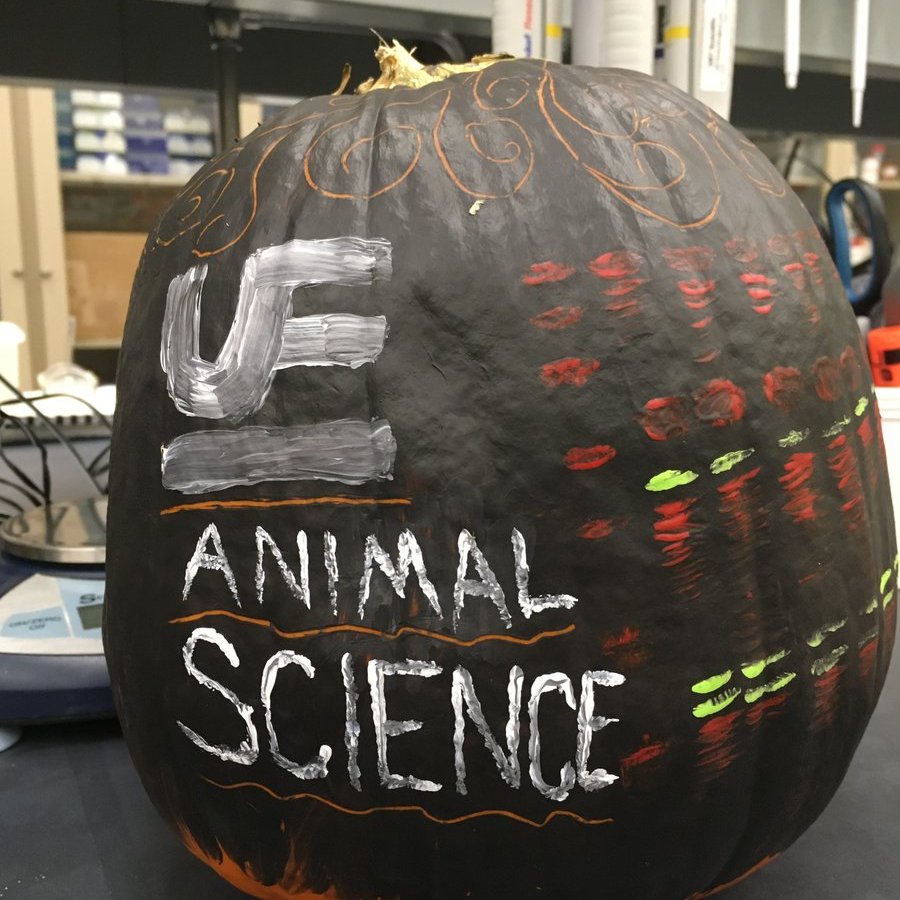 Tracy Scheffler tweet media