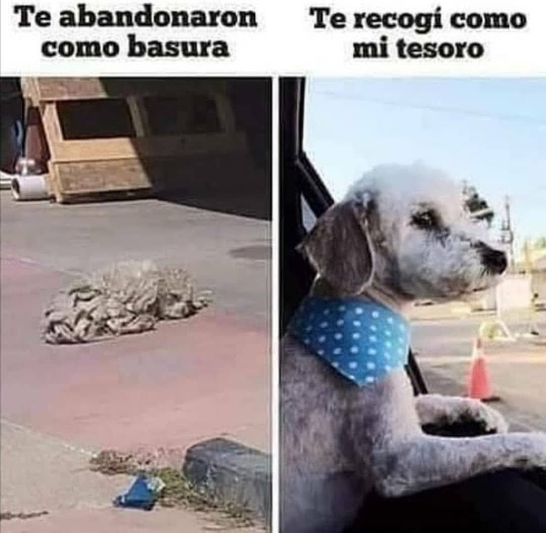 No todos están preparados para tener un #AMOR noble e incondicional en su vida...