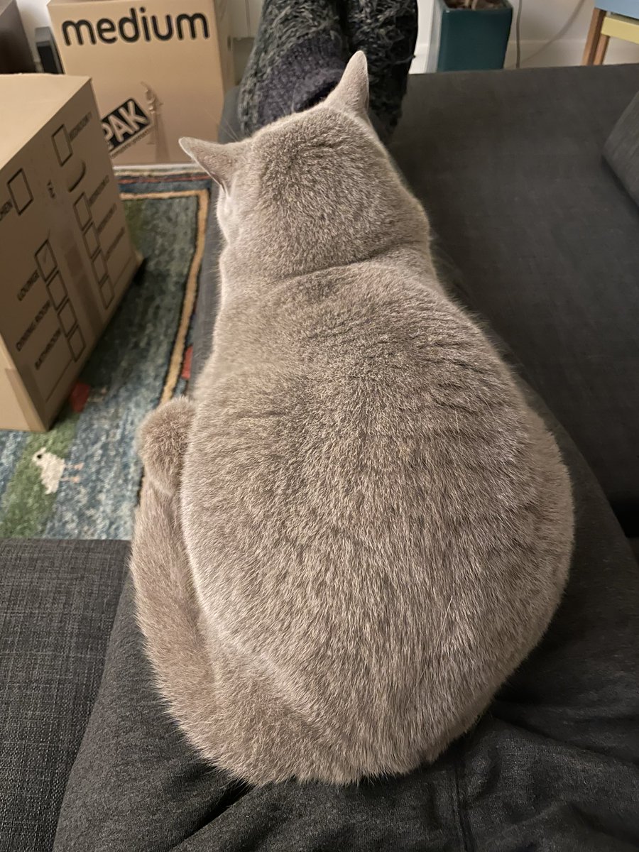 Ewan St. John Smith tweet media