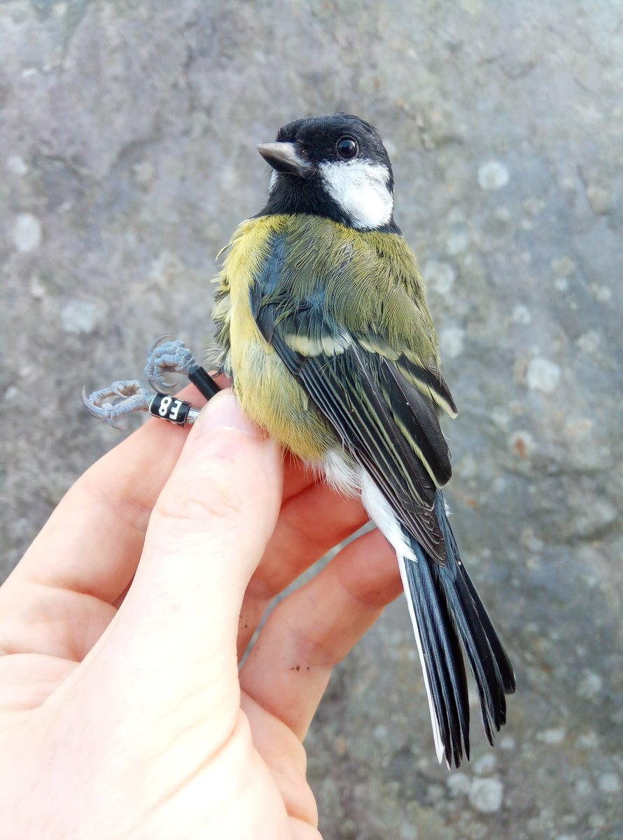 James O'Neill tweet media