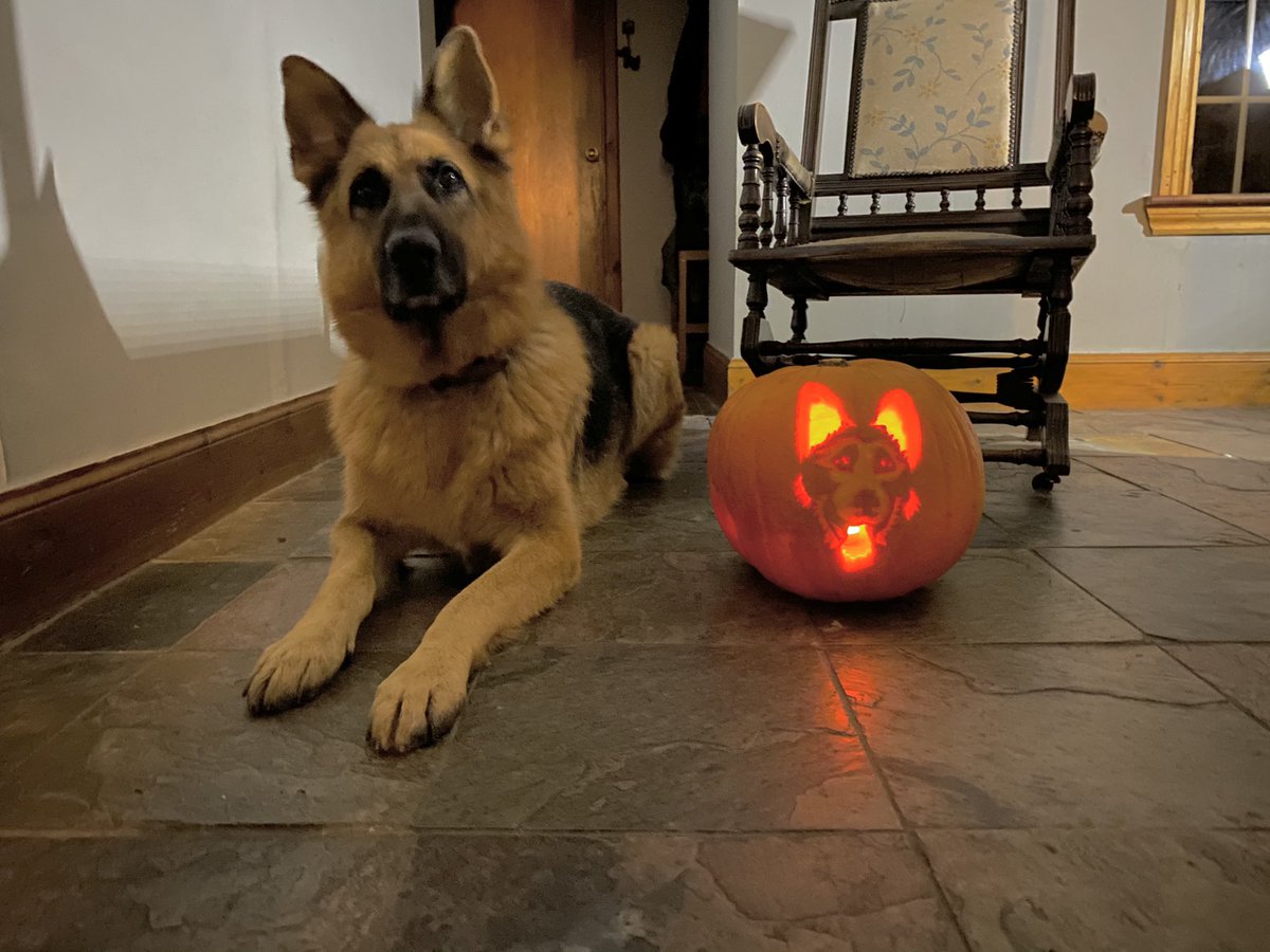 Oldburkie's tweet image. #Halloween Kush with his Pumpkin. Trick or Treat if you dare..