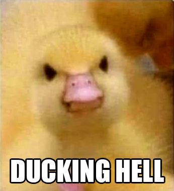 jadryga's tweet photo. Not the first meme I've ever made, but possibly the cutest.
#duckinghell #meme https://t.co/0bsL9bYmpV