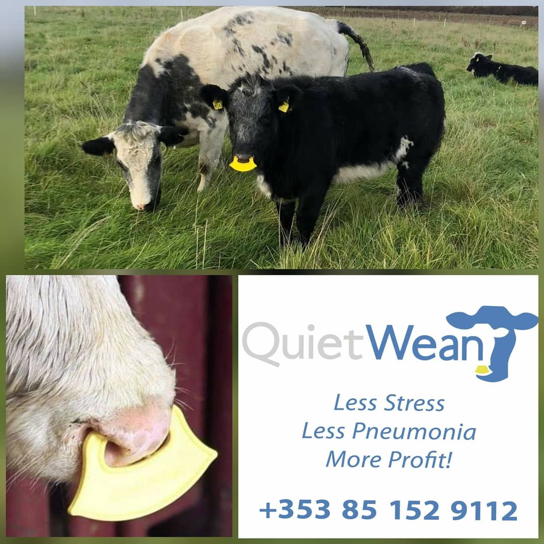 Our next Monster Raffle prize is a pack of 25 QuietWean nose tags worth €110, kindly sponsored by Eamon Cassells and QuietWean Ireland. Get a ticket for €5 or get 3 tickets for €10 on our GoFundMe page: gf.me/u/y4dhuz