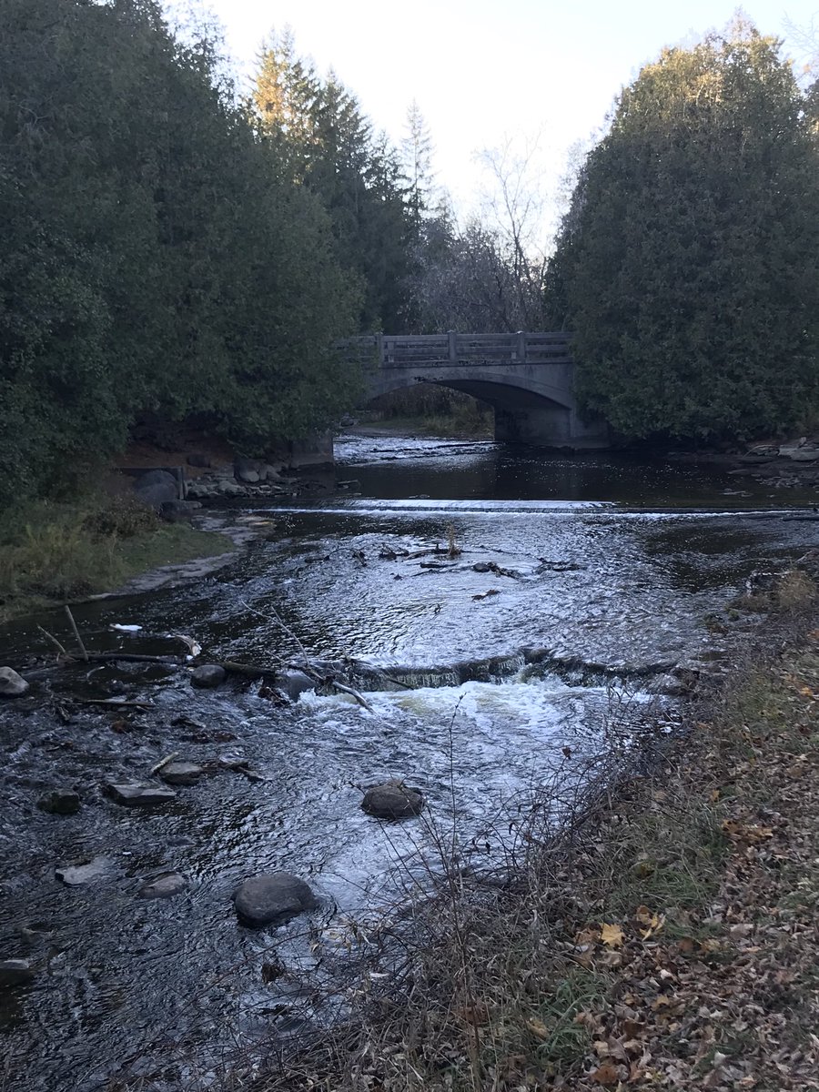 stanewing's tweet photo. Reminiscent of Tollymore Forest Park in #NornIron https://t.co/4e0vdk3zX4