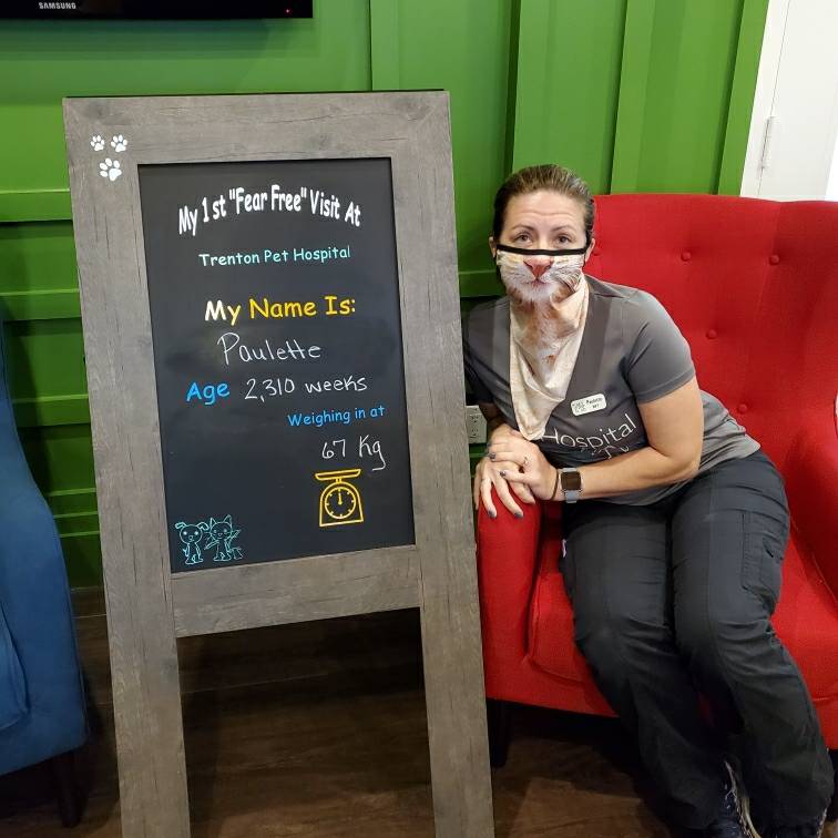 TrentonPet's tweet photo. Halloween never looked so purrrrfect ๐ธ๐
#rvt #registeredvettech #vettech #halloween #kitty #wearamask #fearfree https://t.co/Wq8ozUhlJZ