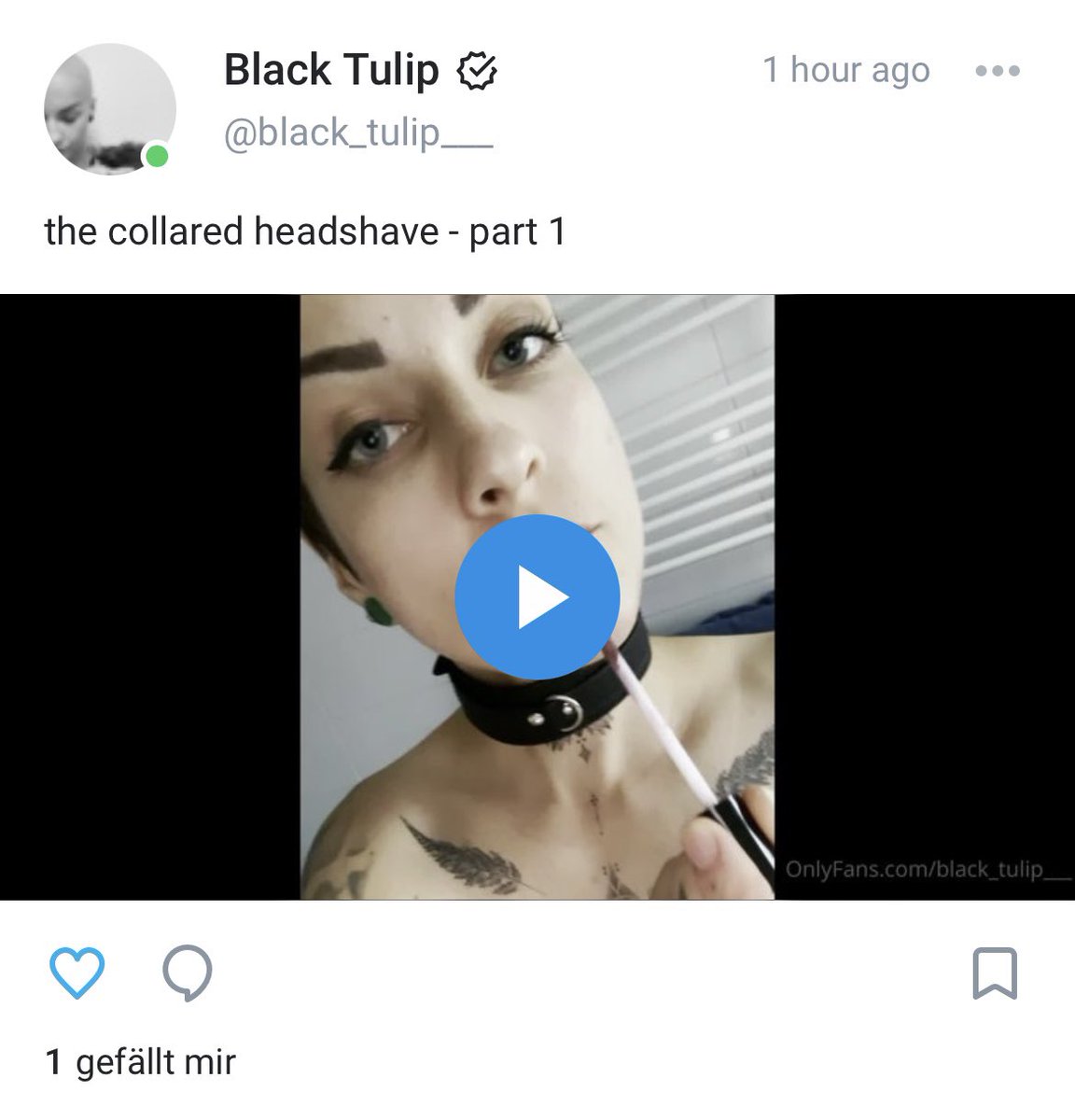 _Black__Tulip_'s tweet photo. the collared headshave - join my onlyfans to see all that fun ๐ link in bio ๐ป #headshave #collar #haircut #smoothhead #onlyfans #linkinbio #followme https://t.co/A5HGR2K0Y7
