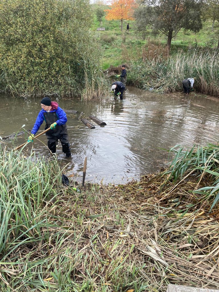 AndrewKauffma20's tweet photo. WOW @OurParklifeCIC #ParkChampion ploughing ahead with #PondRestoration project this Wednesday @noordinarypark #NorthPark #Wetlands thanks to all the #volunteers that have support this wonderful #BAP project so far #ConservationVolunteering #GamesLegacy #NaturallyActive https://t.co/BOP1S9waqb