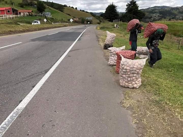 pormillano's tweet photo. Campesinos del Municipio de Ventaquemada-Boyacá, sacan su cosecha a la vía Tunja-Bogotá para tratar de vender. Están prácticamente regalando el bulto a $7000 si saben de alguien que transite estás vías, cómprelo https://t.co/8NTZSvzHAi