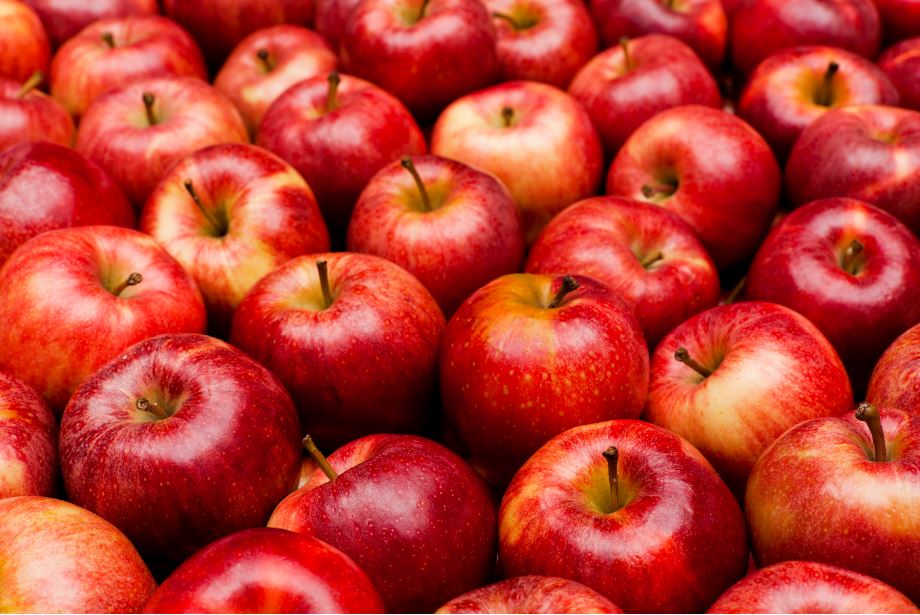 FarmBoy's tweet photo. For the truly hard-core, weโve got all your basics covered. From #cortlandapples to #Tangoapples, come check out our array of #CanadianApples in stores! https://t.co/mRShEgfYXA