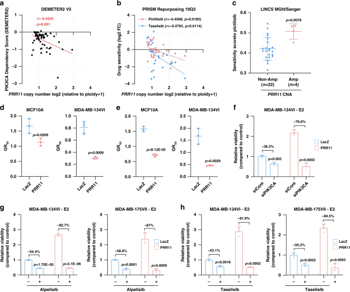 Therefore, PRR11-amplified cells are highly dependent on the PI3K pathway, and PI3Kalpha inhibitors overcame PRR11-induced resistance to estrogen deprivation. /6