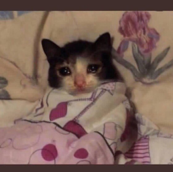 raba122's tweet photo. @ABD_Khh ماعمري فزت يارب افوز اذا فيه خيره 😩😩🥺❤️ https://t.co/wVR8G3QTlN