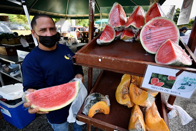 SomosFamiliaPR's tweet photo. La mejor cosecha de Puerto Rico llegó hoy a Coamo en el Mercado Familiar con el conveniente servicarro.  Cientos de familias compraron sus alimentos para una dieta saludable y balanceada.  Apoya lo de aquí y visita los Mercados Familiares del @DeptoFamiliaPR  y @DptoAgricultura https://t.co/dgkO5kymDg