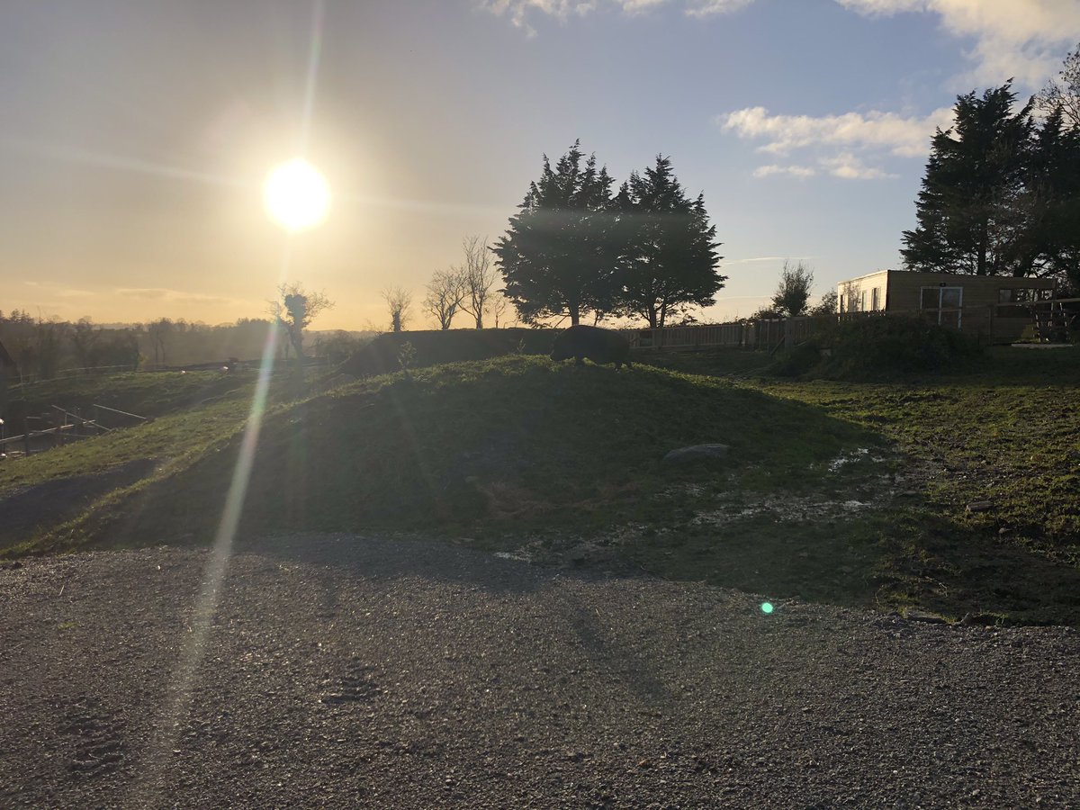 catlowry54's tweet photo. This is where we want to build stables for emergencies and it will be called #Ali’s Hope as we really held onto #hopeforali - so it’s important that the rescues we lose remain a part of the #sanctuary forever. https://t.co/BUIPIAHylV