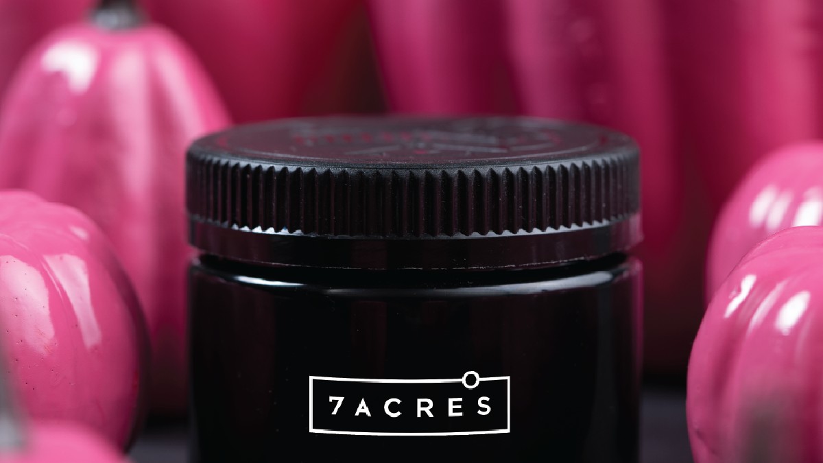 7ACRESmj's tweet photo. Jack Haze - no tricks, just treats. Happy Halloween. Check out 5 ways to celebrate Halloweed - https://t.co/TSvNxK3tcm
#JACKHAZE #RespectThePlant #cannabis #DoYouKnowJack #Halloweed https://t.co/JpZuyWmzZI
