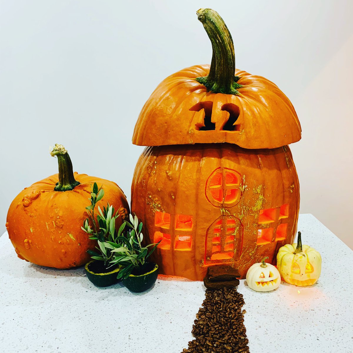 McnameeVix's tweet photo. @cohorted @Guylian_Chocs Here’s our Pumpkin House 🎃🏡#QuarantineHalloween https://t.co/CZsiVq4cXV