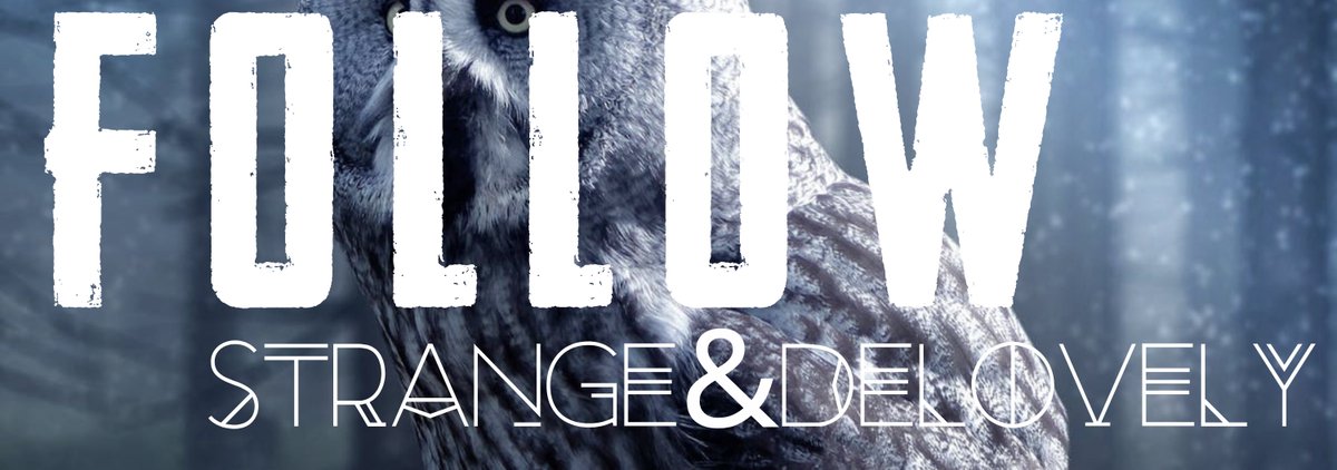 AndDelovely's tweet photo. Tell a friend
@AndDelovely 
#IndependentMusic #MUSIC #Indie #strange #delovely https://t.co/D7XsZCh1L3