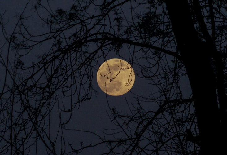 Did you know this Halloween you can also see A Full Moon in the sky? Something that only happens every 19 years!  AND the second full moon we will see in October, called the Hunters Moon.  
Let’s hope all the werewolves out there enjoy their day to shine. Happy Halloween!