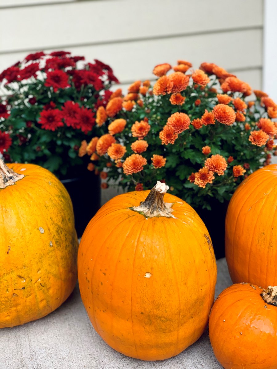 PreViserCorp's tweet photo. Happy Halloween Eve from PreViser! Have a safe and healthy weekend! #Halloween #PreViserCorp https://t.co/NO4NlxPH96