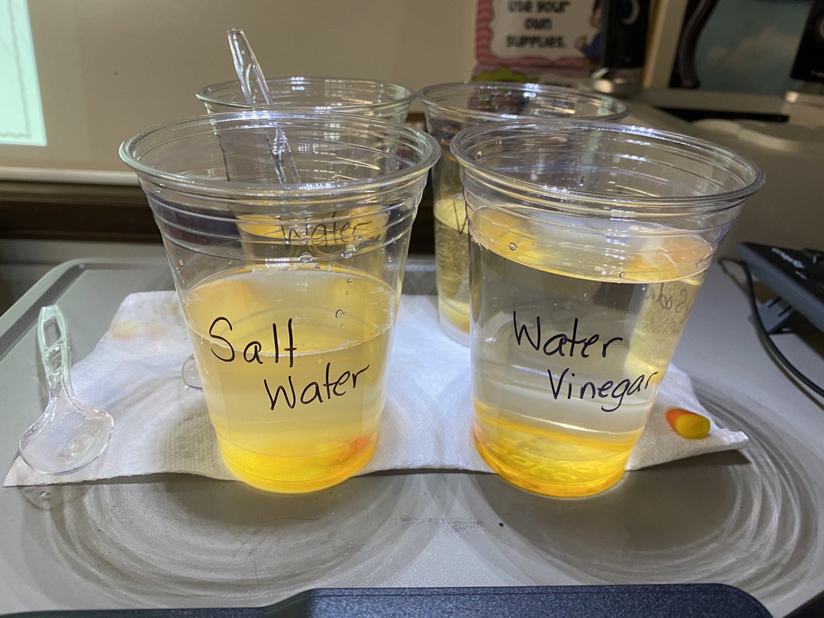 ReetzMrs's tweet photo. We started our day with a Candy Corn Investigation!  We discovered what happens when you put candy corn into water, water/vinegar, salt water and water/baking soda!  @WHGWashington @WHTeachers  #candycorninvestigation https://t.co/ADGjaPk52a