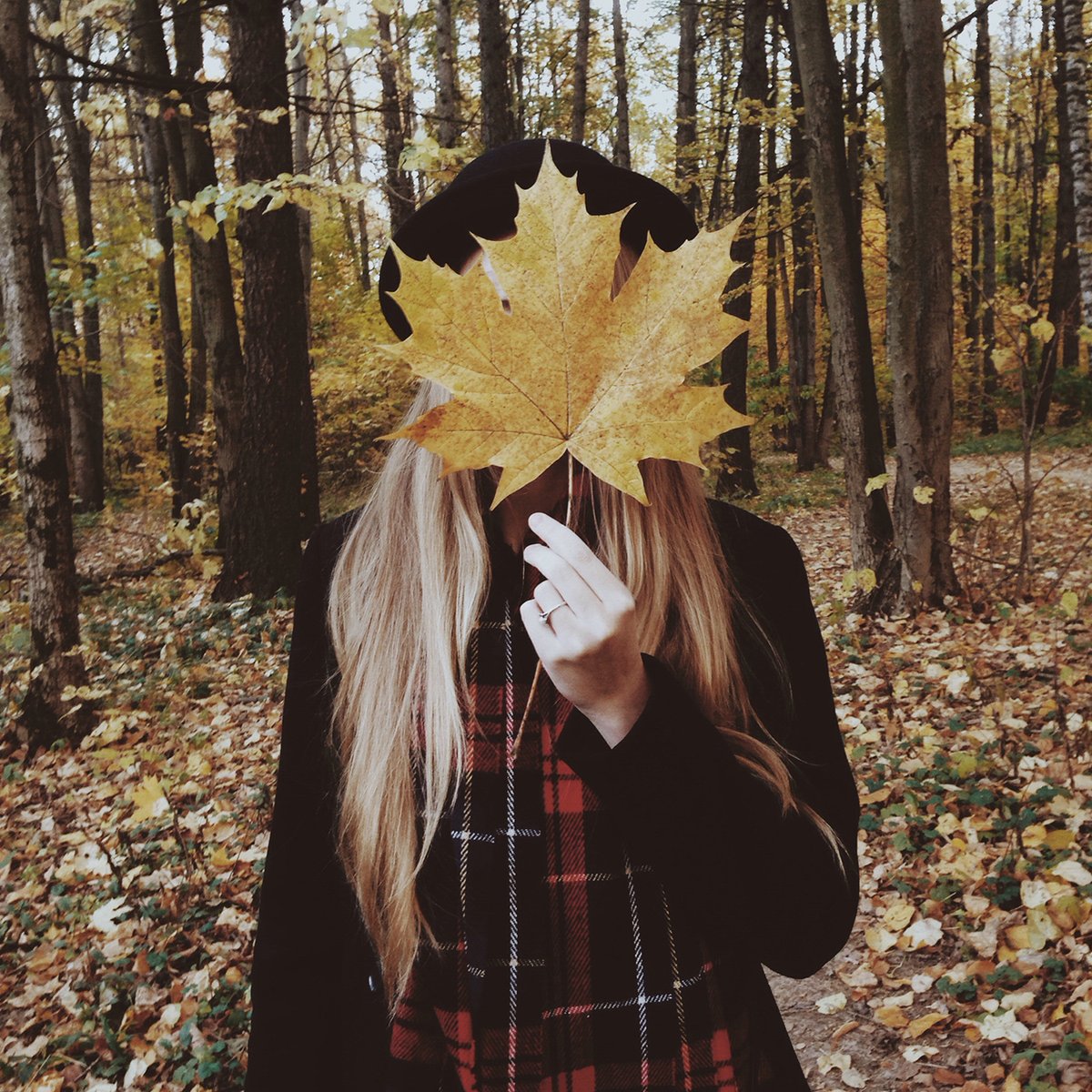 VieCBD's tweet photo. Autumn is in the air! 🍁⁣⁣
⁣⁣
Where's your favorite place to check out the fall colors?⁣⁣
⁣⁣
#viecbd #autumn #cbd #maryland #cbdoil #cbdhealth #cbdwellness #cbdproducts #cbdcommunity #feelgoodfriday #cbdtinctures https://t.co/lTeXyWTFPl