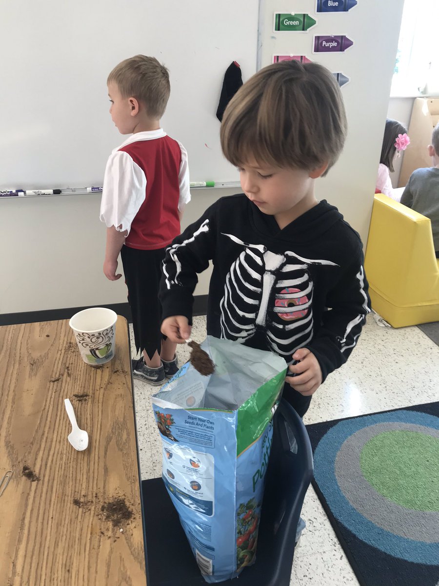 CCLSBerner's tweet photo. Pumpkin planting, pumpkin seed adding, pumpkin drawing, and pumpkin geo boards. What a week of pumpkin fun!  @CCLSChargers https://t.co/mRAQWjQMz8