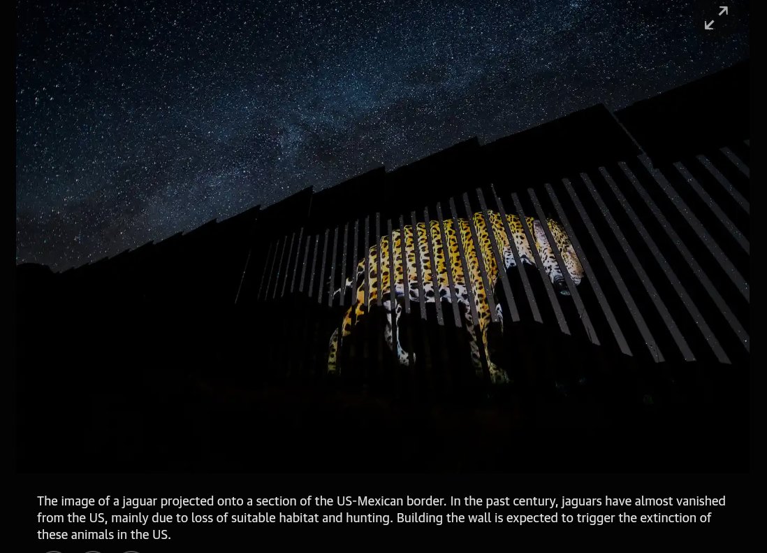 CherylMorrisW's tweet photo. #AlejandroPrieto #WildlifePhotography #Mexico #UnitedStates #Environment #Borders #EcologicalFencing #Conservation #Wildlife #BorderWall #Ecosystems #Species #Habitat #wildlifephotography https://t.co/WmXybQq1KC