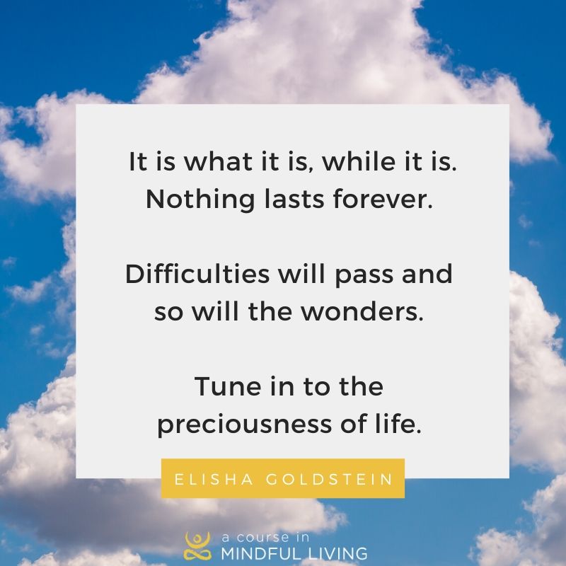 Mindful_Living's tweet photo. Bring this awareness into the moments of your day, tuning in to what really matters
#ItIsWhatItIs #WhatMatters #NowEffect #MindfulLiving https://t.co/QACu2HKuAs