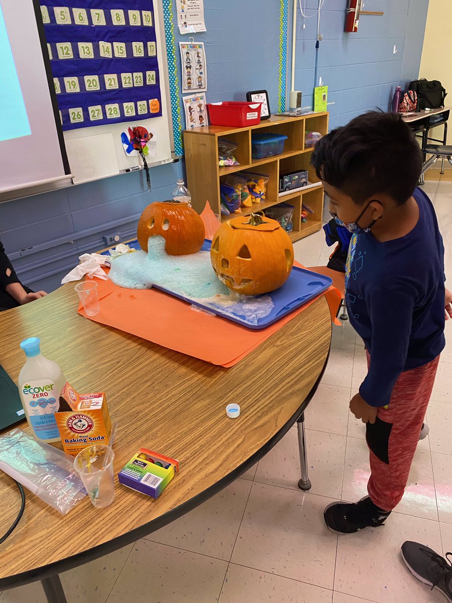 Jennifer Zanayed tweet media