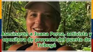 ColombiaDecente's tweet photo. ASI SE HACE POLITICA EN COLOMBIA,ASI SE DESCABEZAN LOS PROCESOS y nadie da la orden:Atentado a Feliciano Valencia lider de la minga indigena;asesinato de Juana Perea lider que se opuso al puerto de Tribuga,;basta con señalar; basta con estigmatizar:los perros ya estan entrenados. https://t.co/39mEBmGn2x