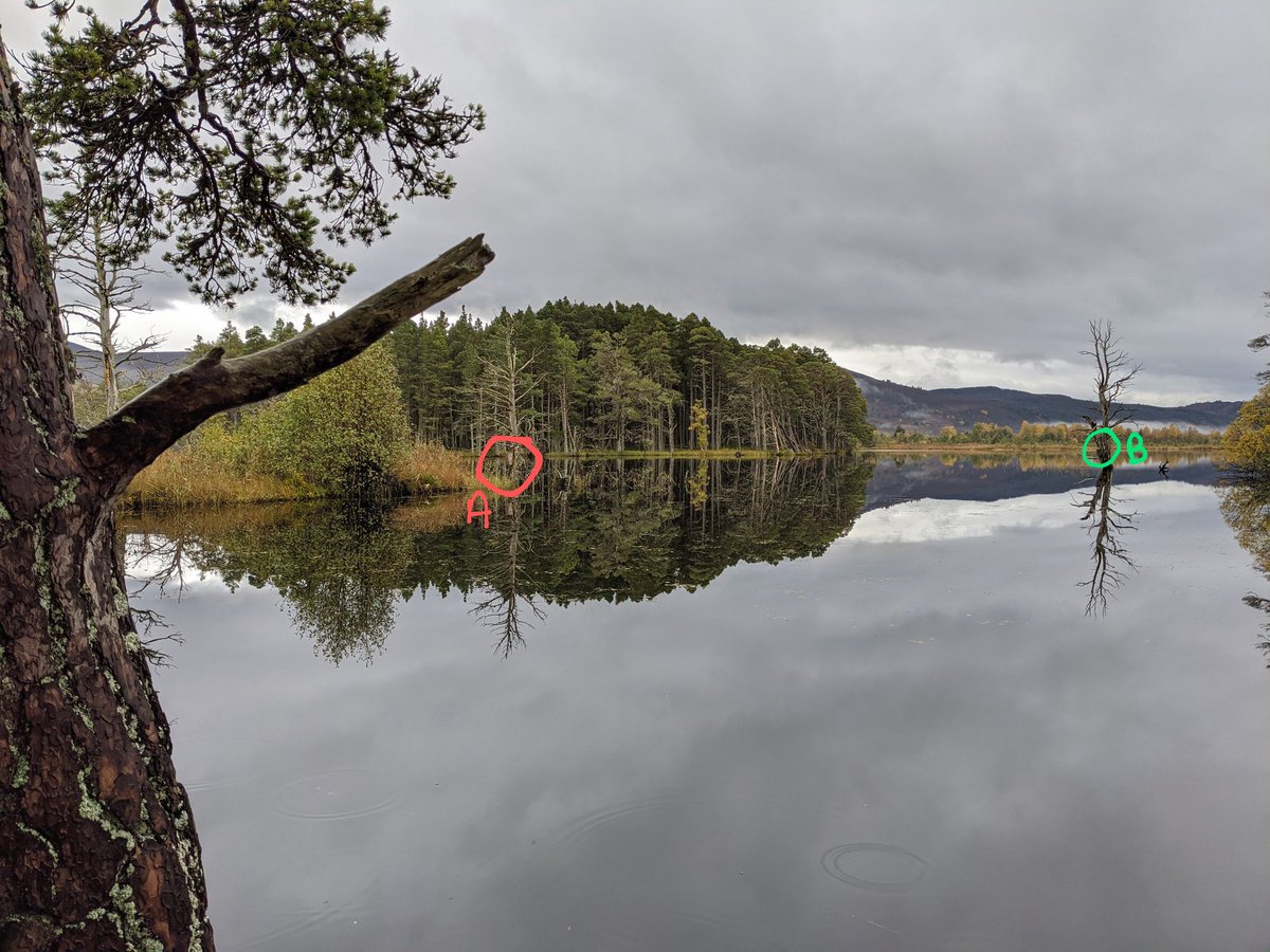 CMurr20's tweet photo. @RSPBLochGarten Hello! I was wondering what types of bird boxes these are? I spotted them on the reserve a few weeks ago when I visited but forgot to ask your knowledgeable staff before I left! 🙈 https://t.co/j8zd0DVZN6