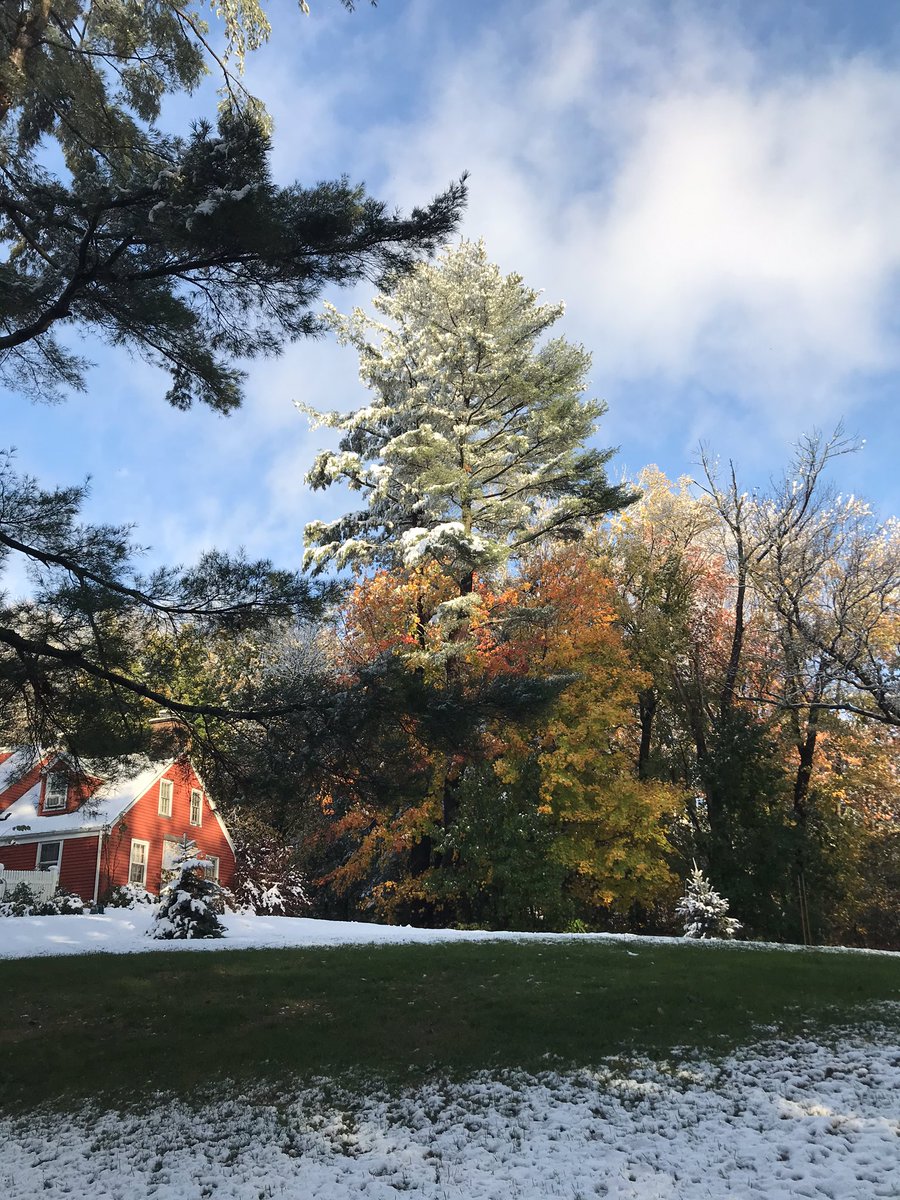 tensprontc's tweet photo. @Eweather13 @StormFurey @petermarteka @RachelFrank_CT @DarrenSweeney beautiful October snow, Glastonbury, CT https://t.co/58oyZuQK6U