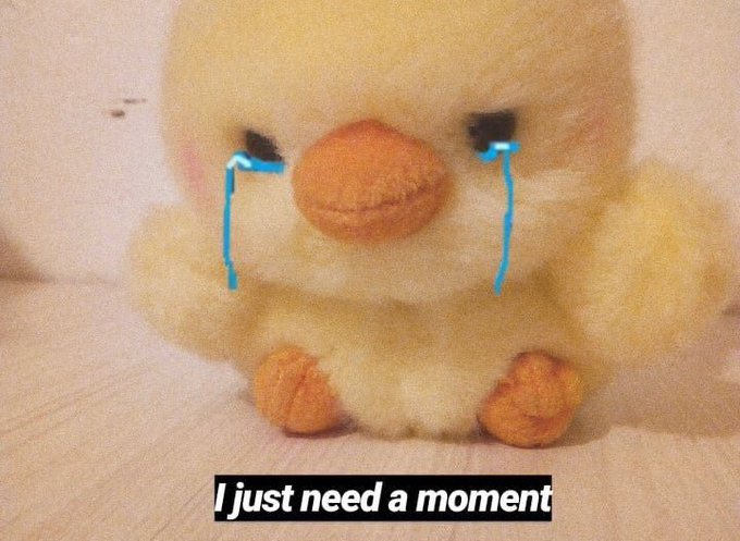 kidrxuhlshoodie's tweet image. 2020stin singing That Should Be Me MY HEART #JBNextChapter