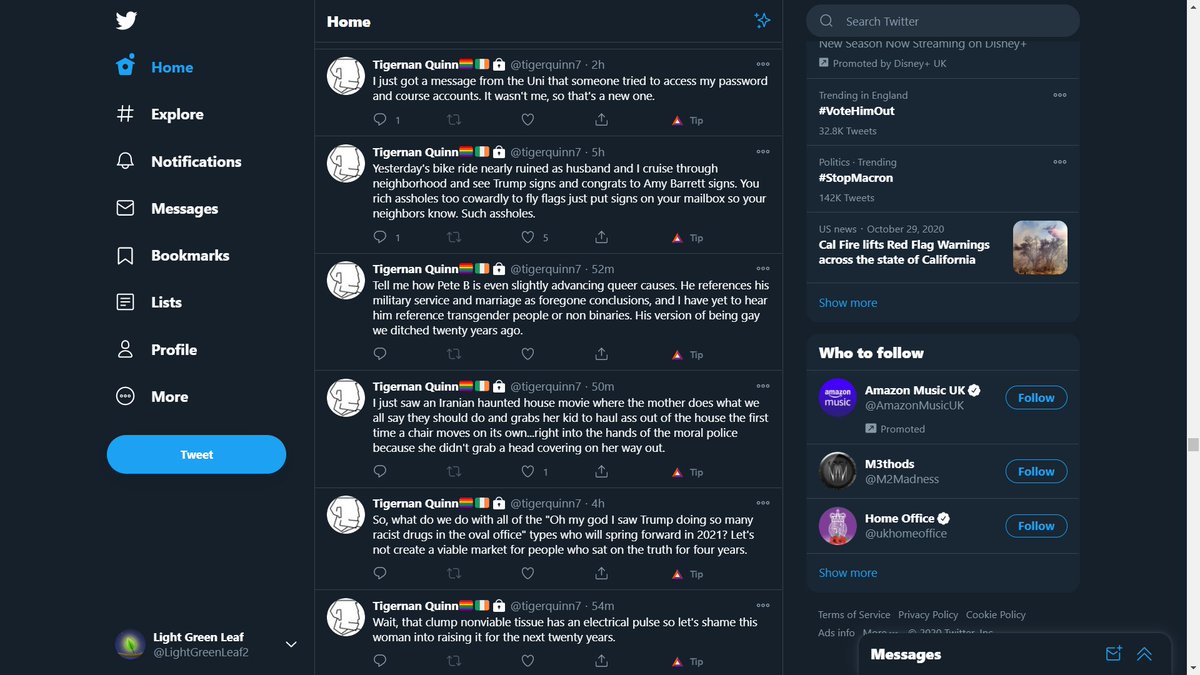 LightGreenLeaf2's tweet photo. @tigerquinn7 Twitter is only showing me your posts right now because you're one of the only lefties that I follow. Do you think that's ok or would you say that's election interference? https://t.co/wWmF1hms22