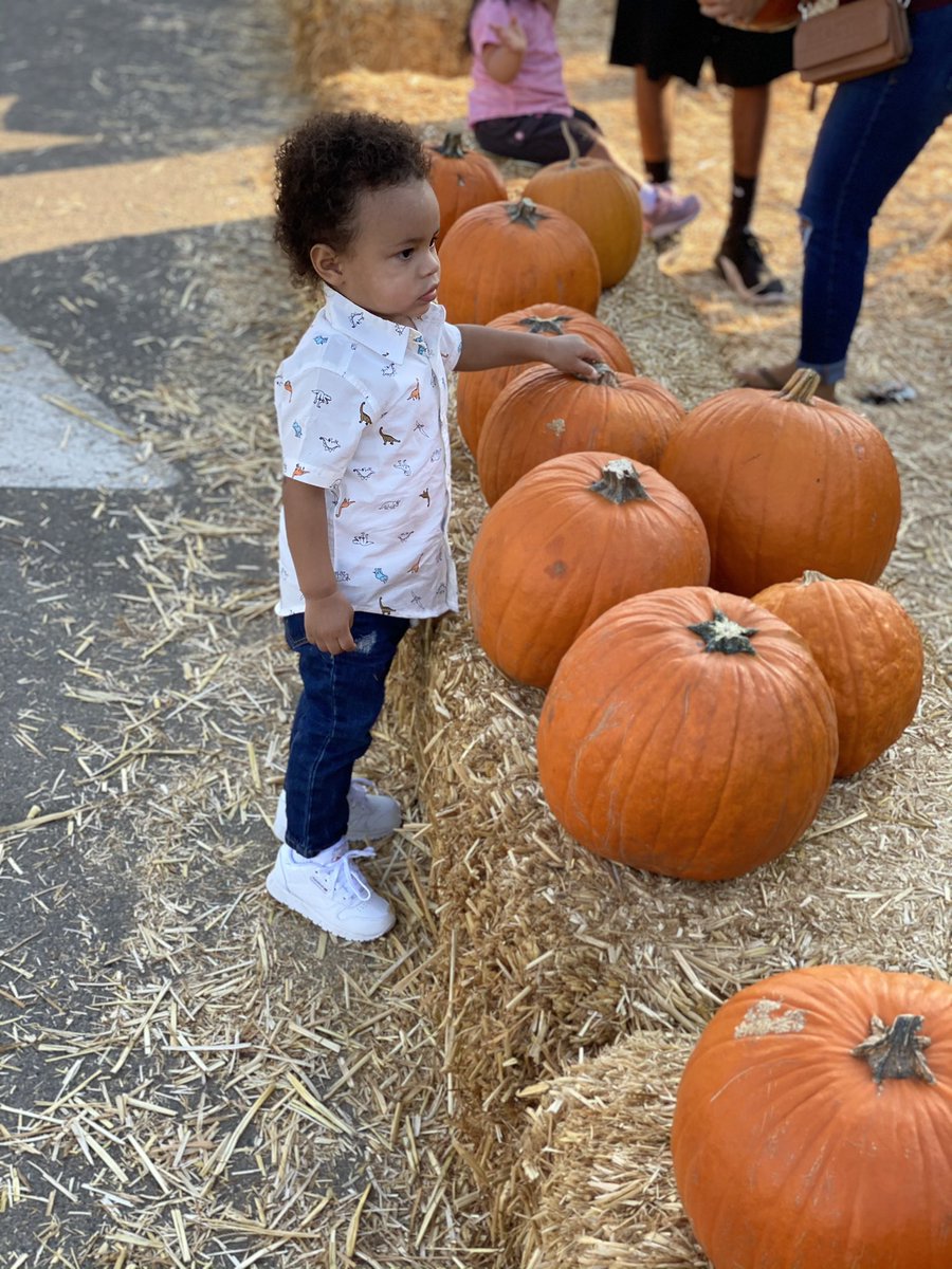 Richi3Wayne's tweet photo. Young Carter at the pumpkin patch with his baby swag on ๐ฏ love you nephew. #SwagDad #YoungHBK https://t.co/1afyDyvsmb